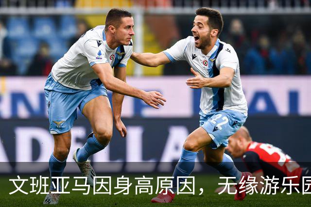 文班亚马因身高原因，无缘游乐园所有项目